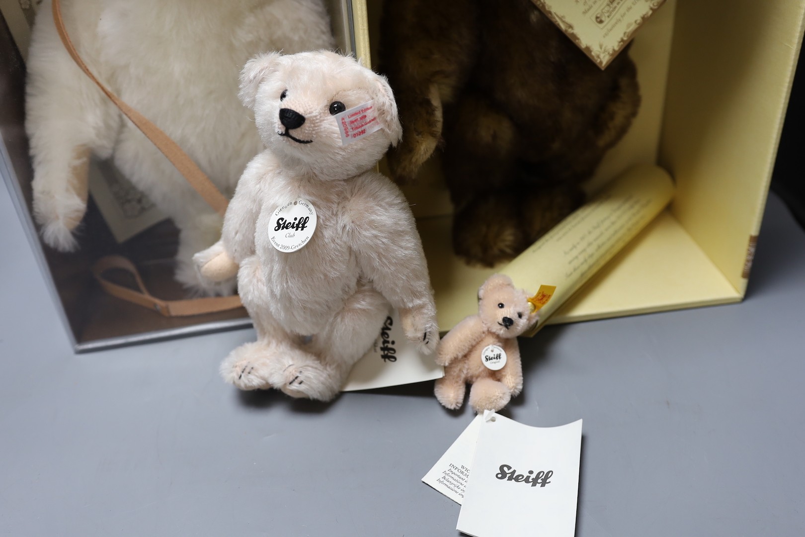 A white tag Steiff Muzzle teddy bear, 33cm, box/cert. with brown tipped British Collectors Bear, 1995, box/cert., Steiff Club Bear 2009, box 20cm and mini Steiff Bear April, box/label, 8cm